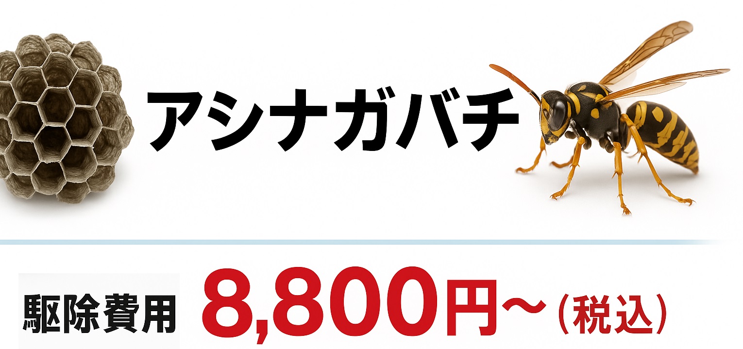 アシナガバチ　9800円 表示（三重県の代表例）